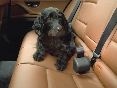 Kleinmetall Allsafe Hunde Sicherheitsgurt Anschnallgurt für Auto PKW S M L  XL